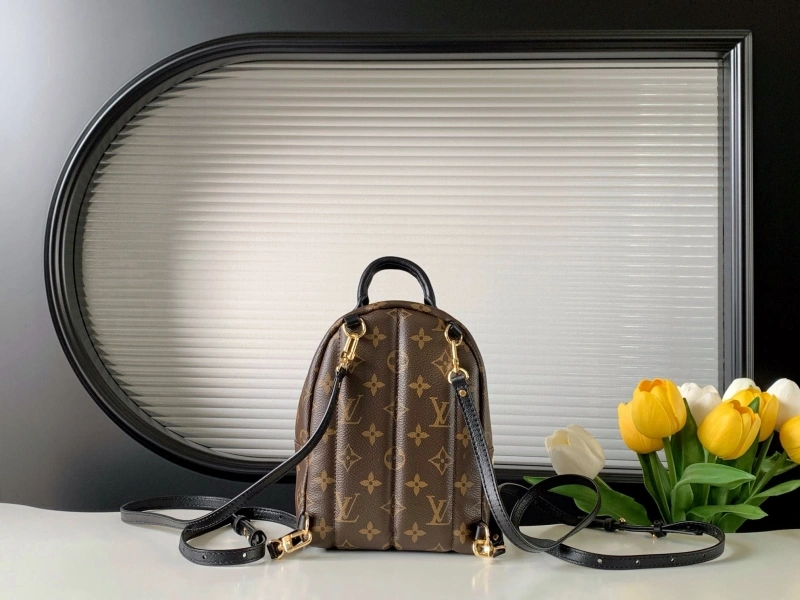 LV Backpacks 4233H-0562