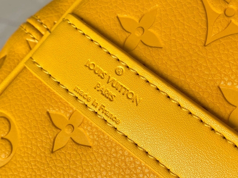 LV Travel Bags 4233H-1022