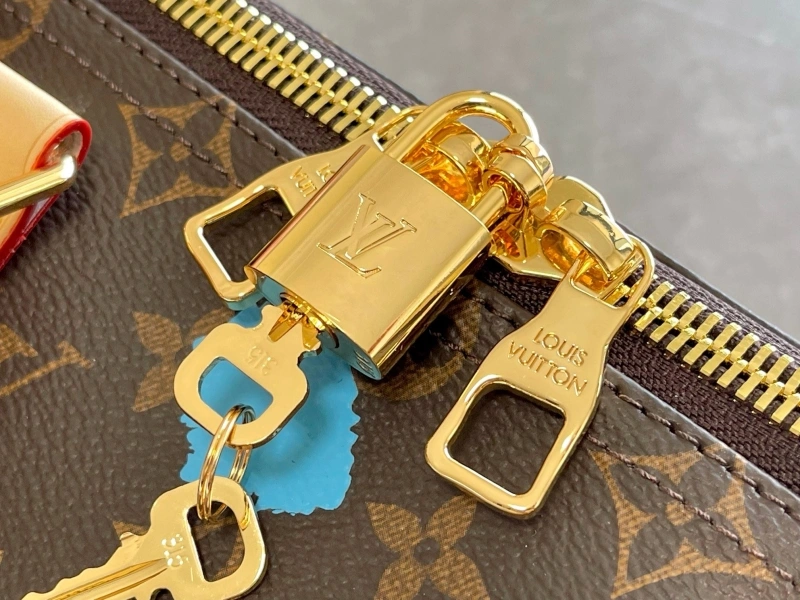 LV Travel Bags 4233H-1033