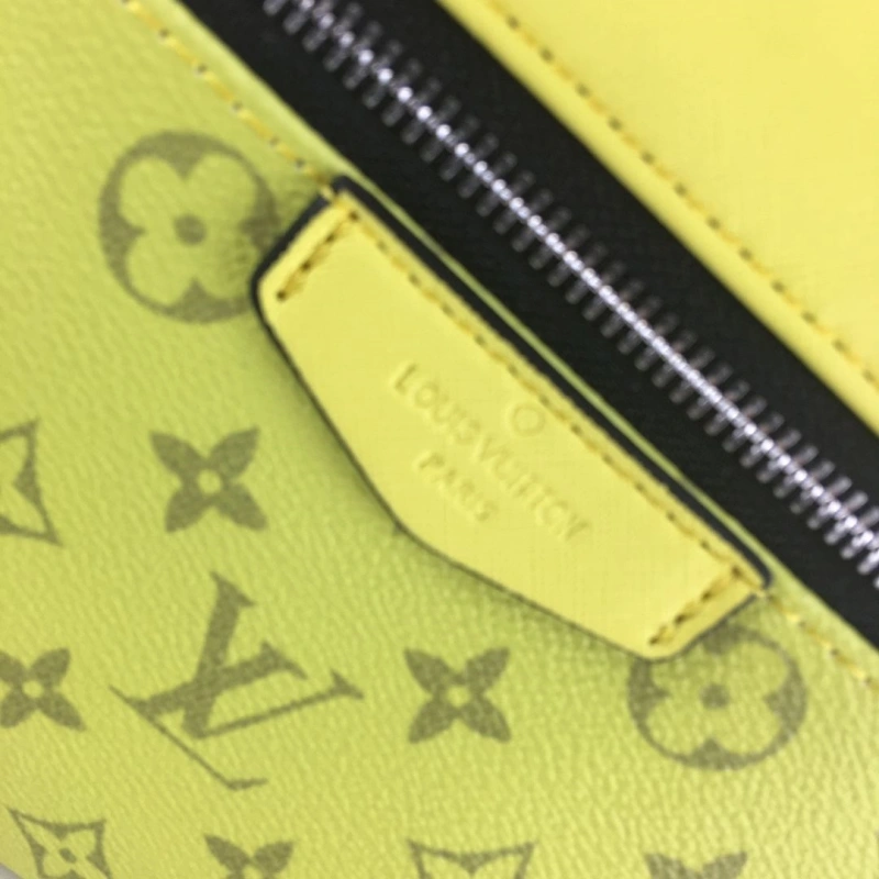 LV Backpacks 4233H-1893