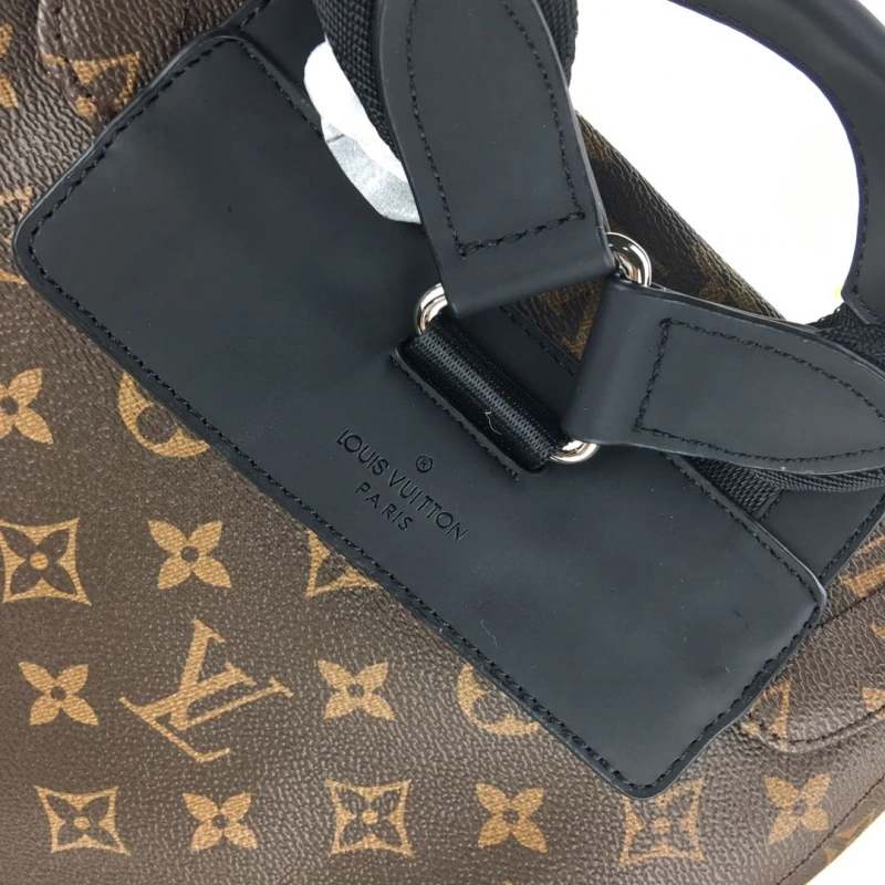 LV Backpacks 4233H-2011