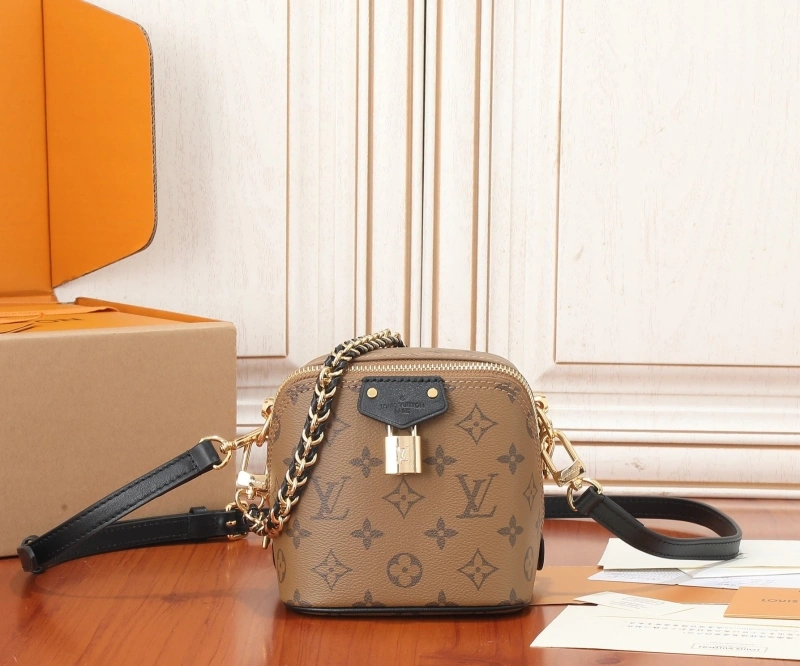 LV Cosmetic Bags 4233H-2124
