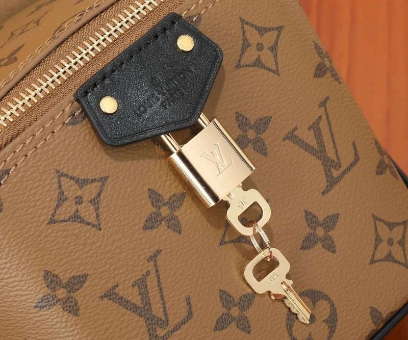 LV Cosmetic Bags 4233H-2124