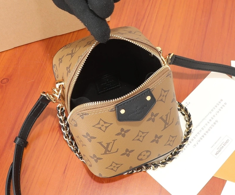 LV Cosmetic Bags 4233H-2124