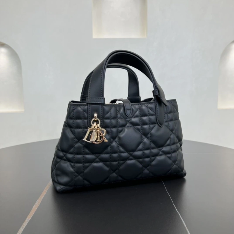 D10r shopping bags 4250i-0119