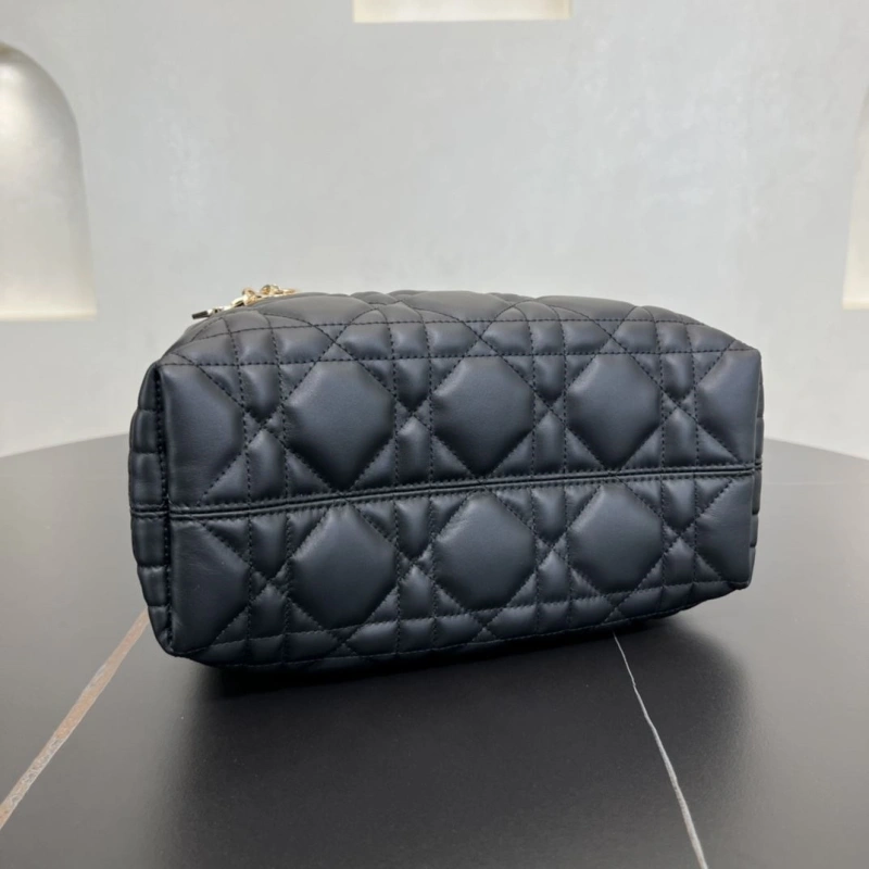 D10r shopping bags 4250i-0119