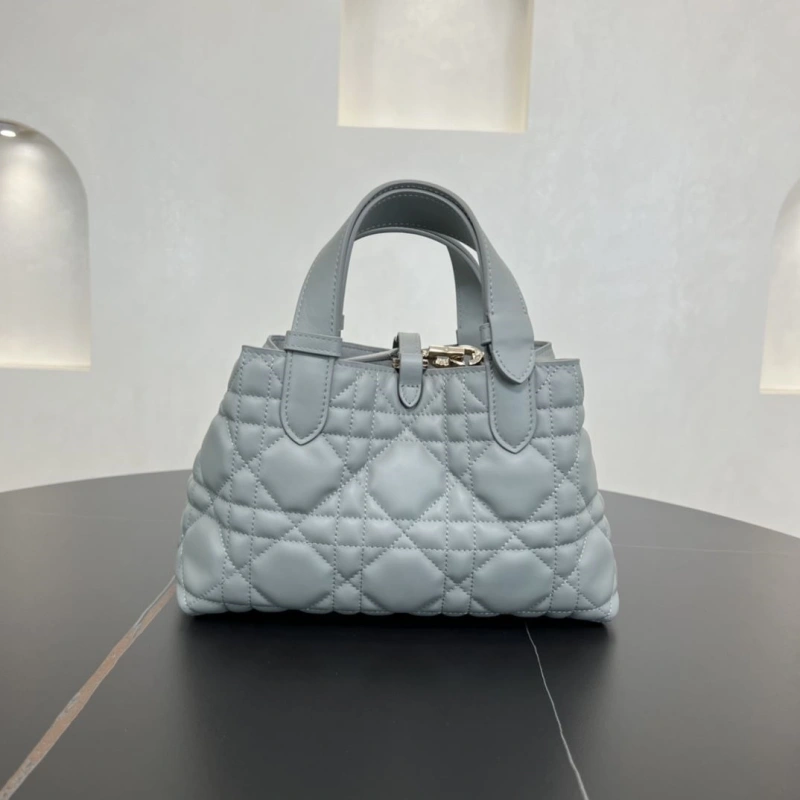 D10r shopping bags 4250i-0121