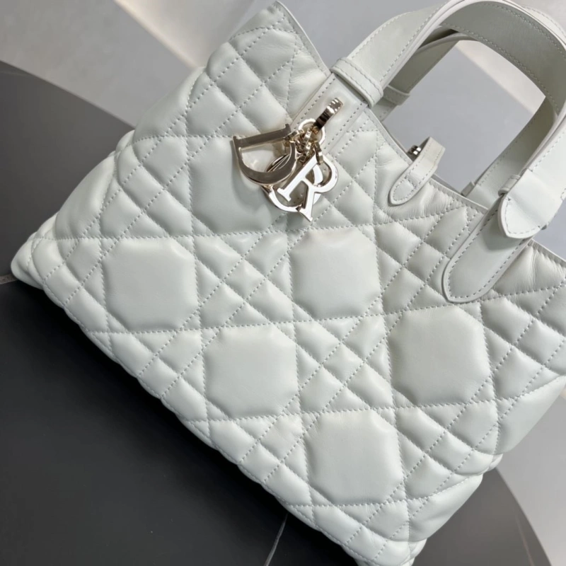 D10r shopping bags 4250i-0123