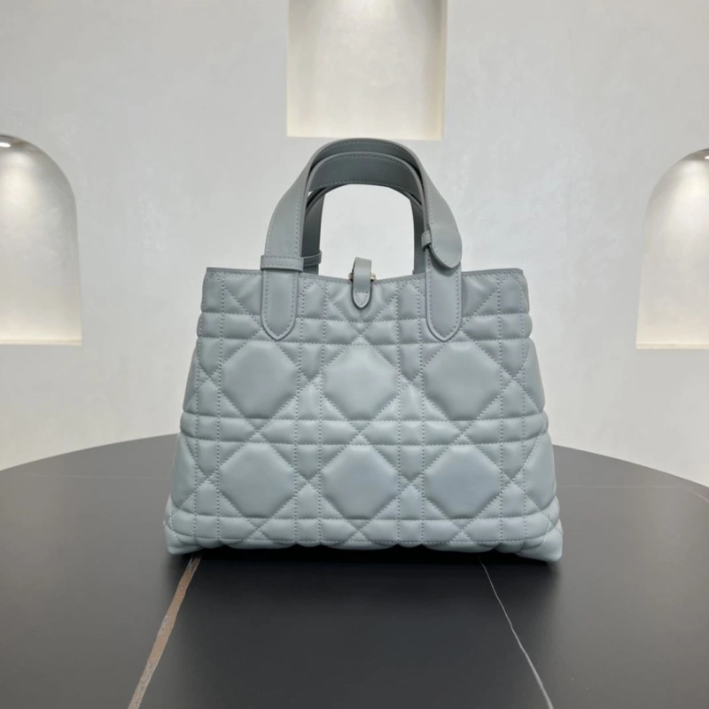 D10r shopping bags 4250i-0124