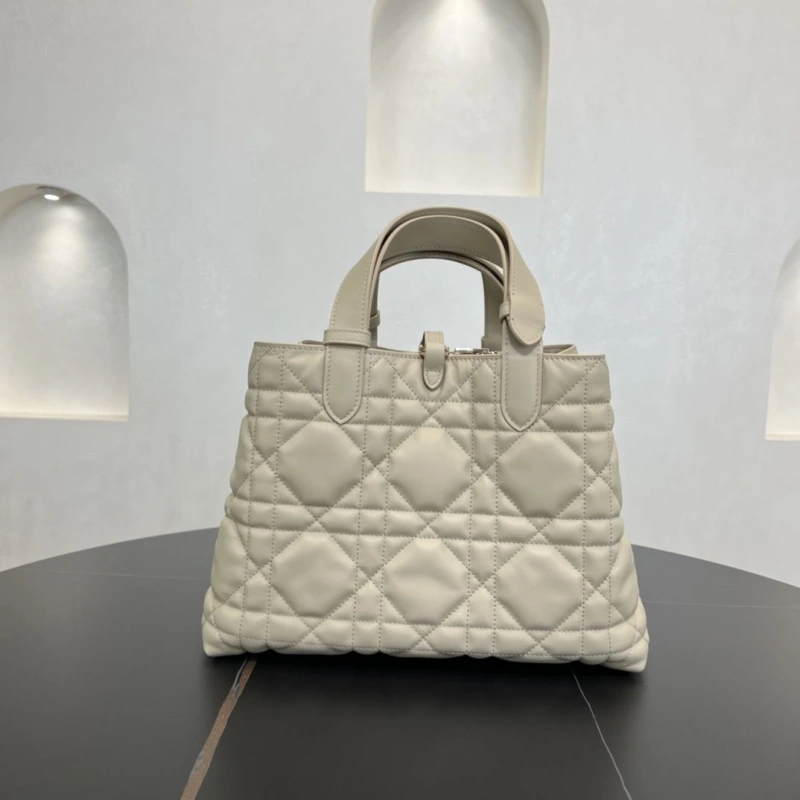 D10r shopping bags 4250i-0125
