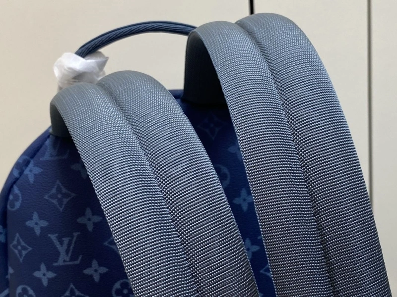 LV Backpacks 4286A-0005