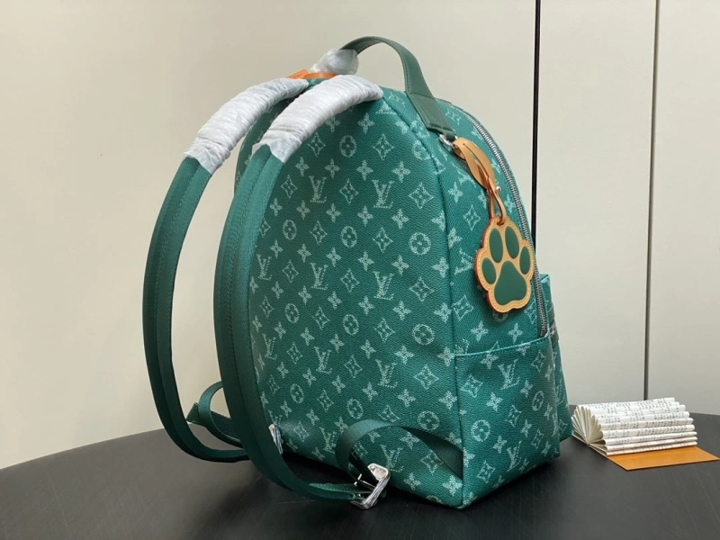 LV Backpacks 4286A-0246