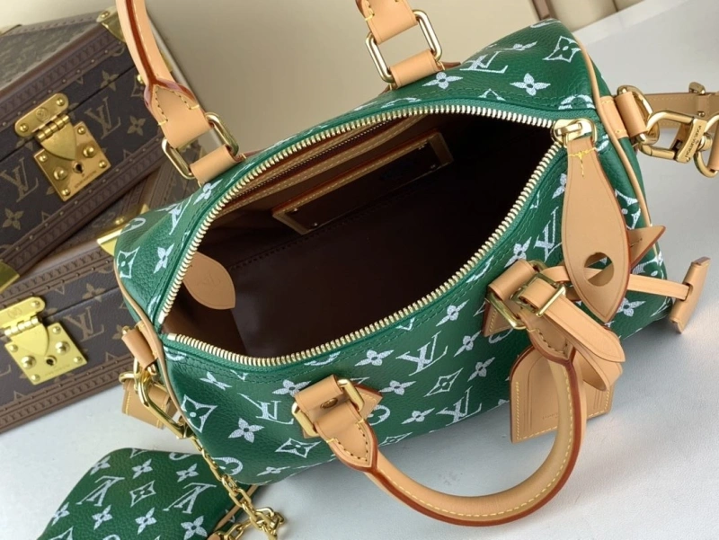 LV Speedy Bags 4365I-0024