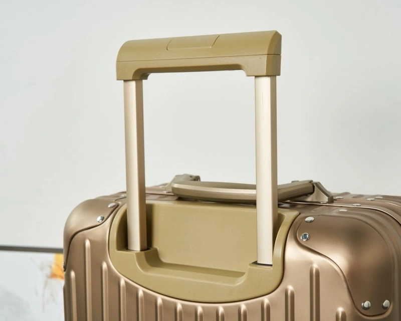 R1m0wa suitcase 4461-0237